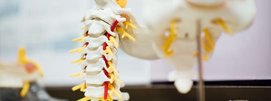 Causes of Subluxations & How Chiropractic Care Helps